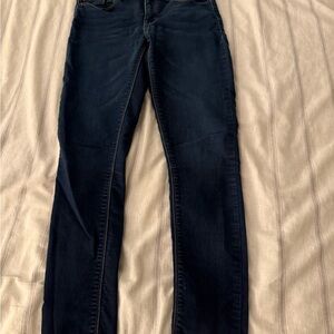 Hudson Jeans Women's Deep Indigo Skinny Jeans